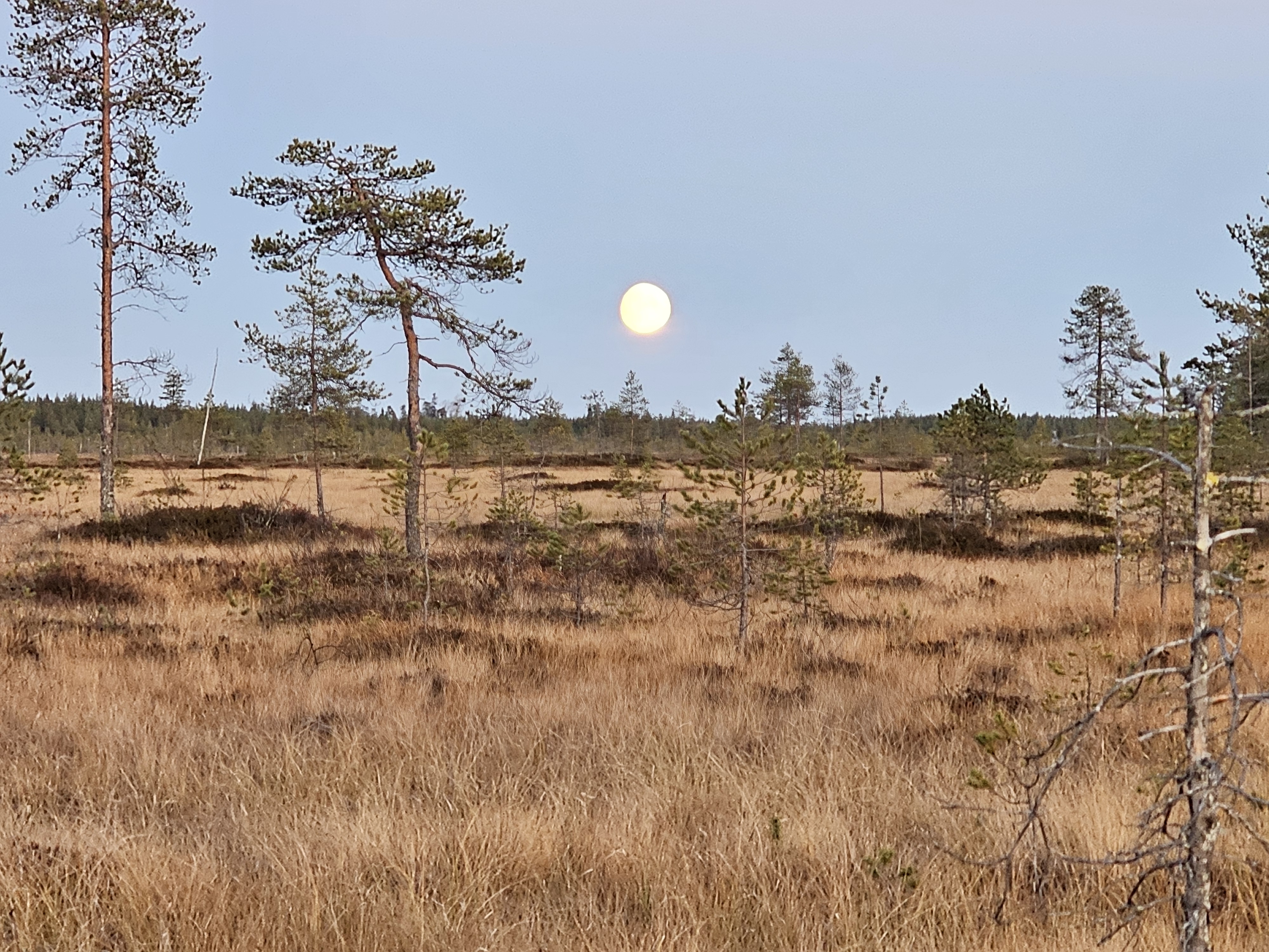 Suomalainen suomaisema auringonlaskussa